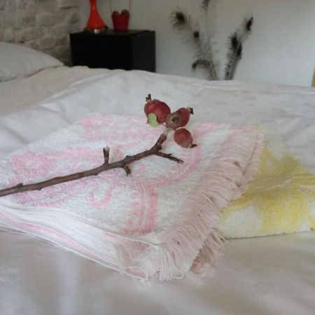 Grandpa'S Room Sighisoara Bagian luar foto