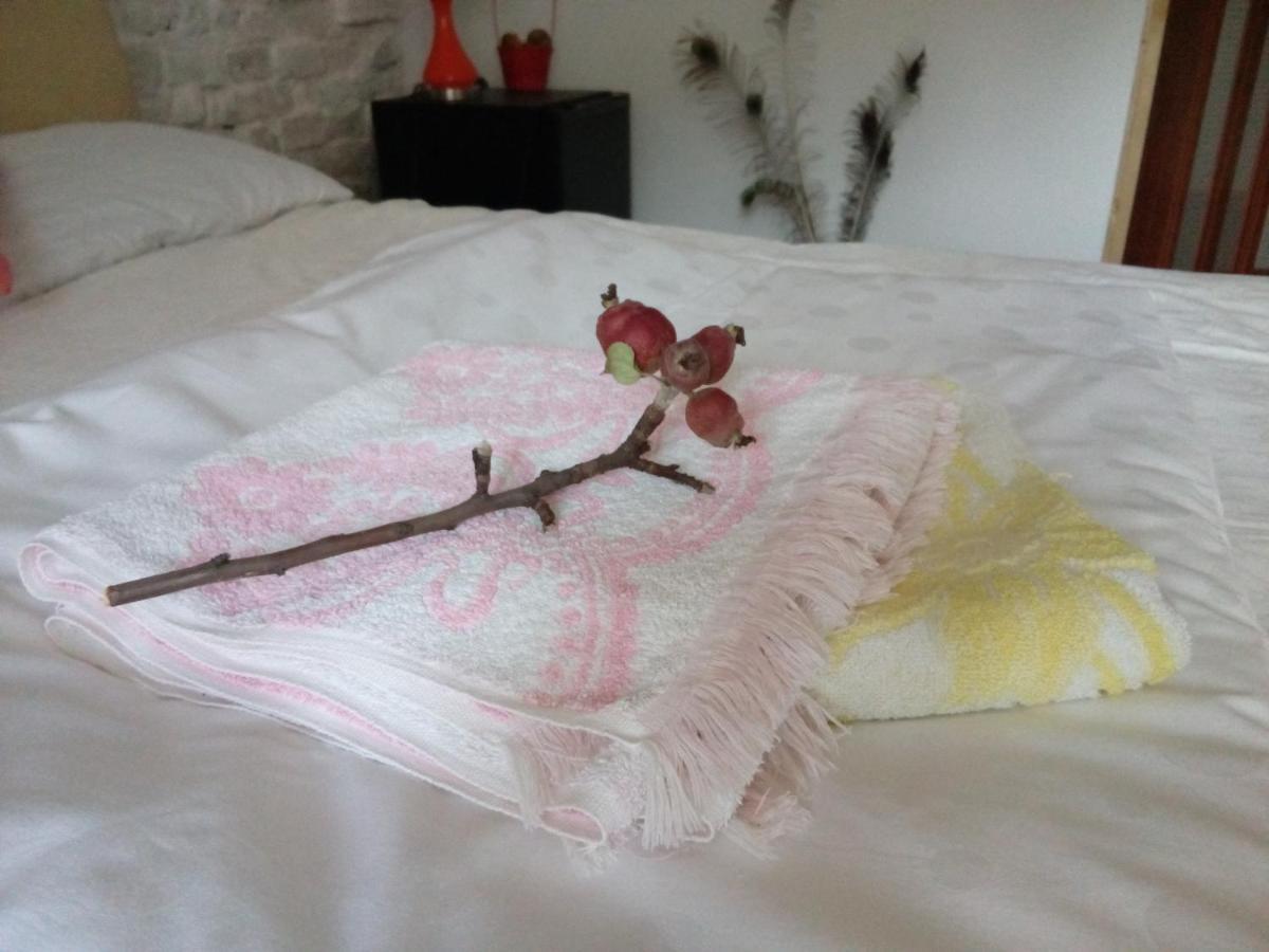 Grandpa'S Room Sighisoara Bagian luar foto