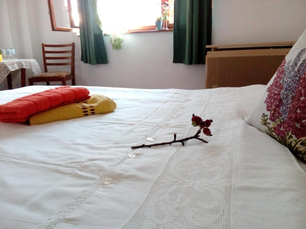Grandpa'S Room Sighisoara Bagian luar foto