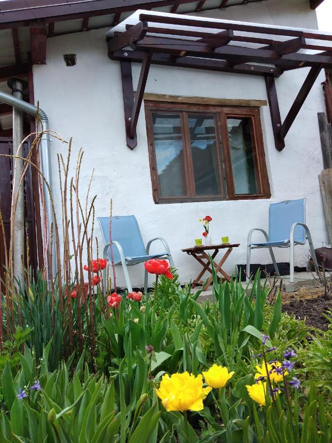 Grandpa'S Room Sighisoara Bagian luar foto